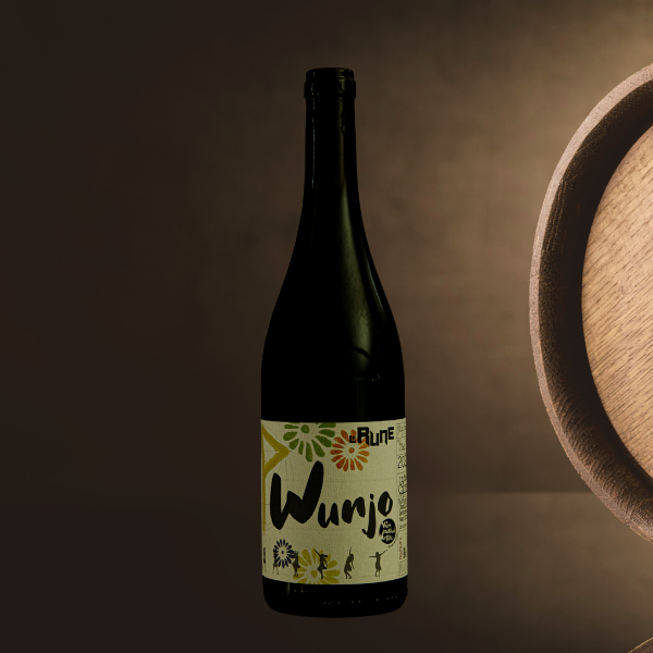 illustration-wunjo-cinsault-2023-languedoc-domaine-de-la-rue-bio-il-etait-une-cave-bar-a-vin-caviste-touques-deauville-calvados-normandie